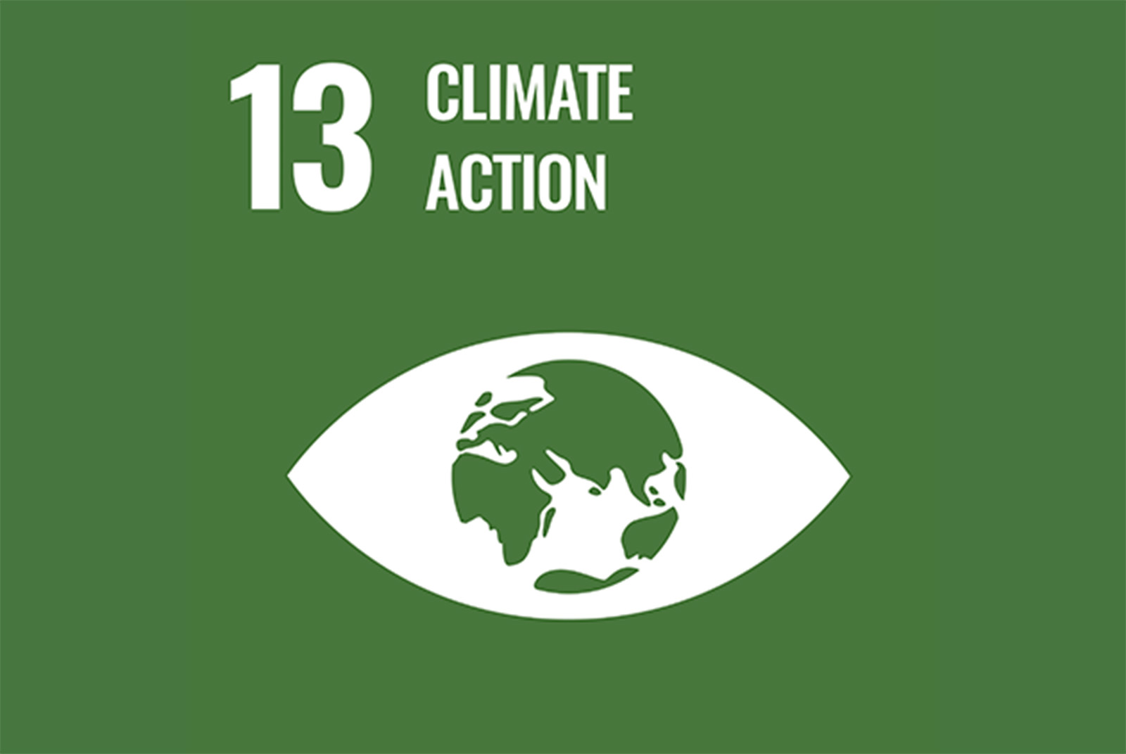 [徵件活動] 新北 2024 國際青年氣候行動論壇氣候行動團隊創意徵件 